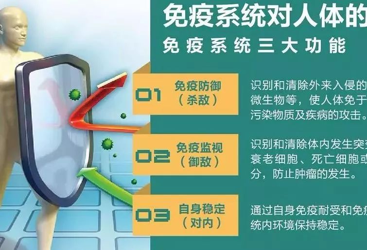 NK細胞：強大的抗癌前鋒！